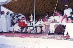 156-topaz-low-resolution-2x-faceai