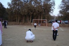 172-topaz-low-resolution-2x