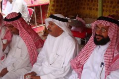 174-topaz-low-resolution-2x-faceai