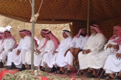 175-topaz-low-resolution-2x-faceai