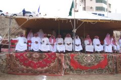 178-topaz-low-resolution-2x