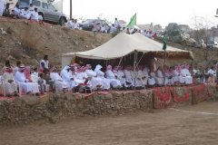 186-topaz-low-resolution-2x