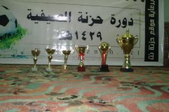 201-topaz-low-resolution-2x