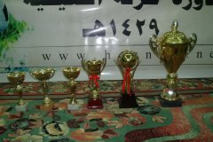 203-topaz-low-resolution-2x