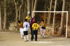 442-topaz-low-resolution-2x