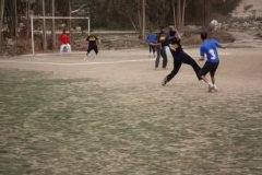 444-topaz-low-resolution-2x