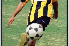 451-topaz-low-resolution-2x-faceai