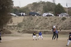 454-topaz-low-resolution-2x