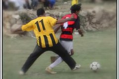 455-topaz-low-resolution-2x