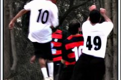 456-topaz-low-resolution-2x