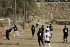 486-topaz-low-resolution-2x