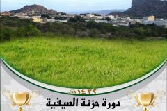 535-topaz-low-resolution-2x