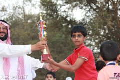 546-topaz-low-resolution-2x-faceai