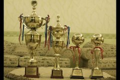 569-topaz-low-resolution-2x