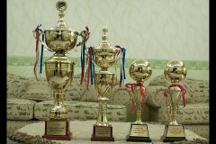 569-topaz-low-resolution-2x