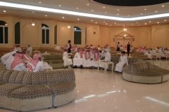 102-topaz-low-resolution-2x