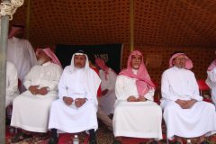 180-topaz-low-resolution-2x-faceai