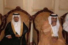 91-topaz-low-resolution-2x-faceai