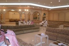 97-topaz-low-resolution-2x