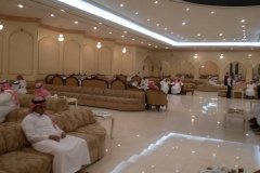 98-topaz-low-resolution-2x-faceai