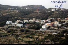 205-topaz-low-resolution-2x