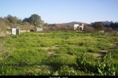 214-topaz-low-resolution-2x