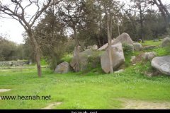 216-topaz-low-resolution-2x