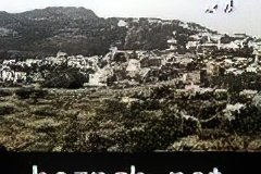 220-topaz-low-resolution-2x