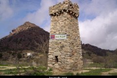 222-topaz-low-resolution-2x