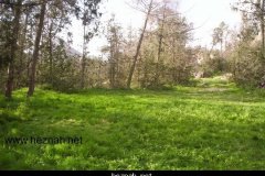 225-topaz-low-resolution-2x