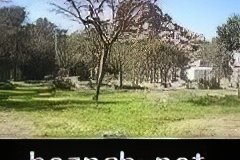 229-topaz-low-resolution-2x