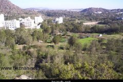 231-topaz-low-resolution-2x