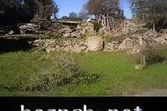 232-topaz-low-resolution-2x