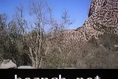 235-topaz-low-resolution-2x