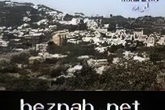 242-topaz-low-resolution-2x