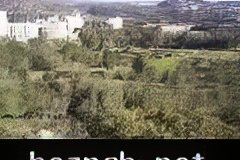 247-topaz-low-resolution-2x