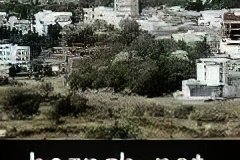 252-topaz-low-resolution-2x