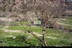 254-topaz-low-resolution-2x