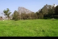 255-topaz-low-resolution-2x