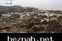 260-topaz-low-resolution-2x