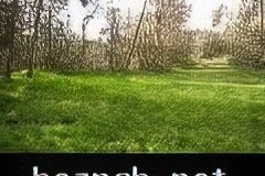 261-topaz-low-resolution-2x