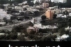 262-topaz-low-resolution-2x