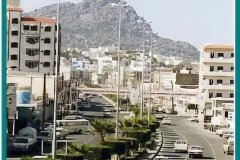 263-topaz-low-resolution-2x