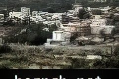 264-topaz-low-resolution-2x