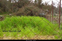 266-topaz-low-resolution-2x