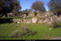 267-topaz-low-resolution-2x