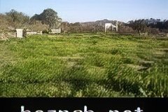 268-topaz-low-resolution-2x