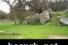 269-topaz-low-resolution-2x