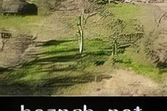 284-topaz-low-resolution-2x