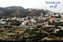 286-topaz-low-resolution-2x